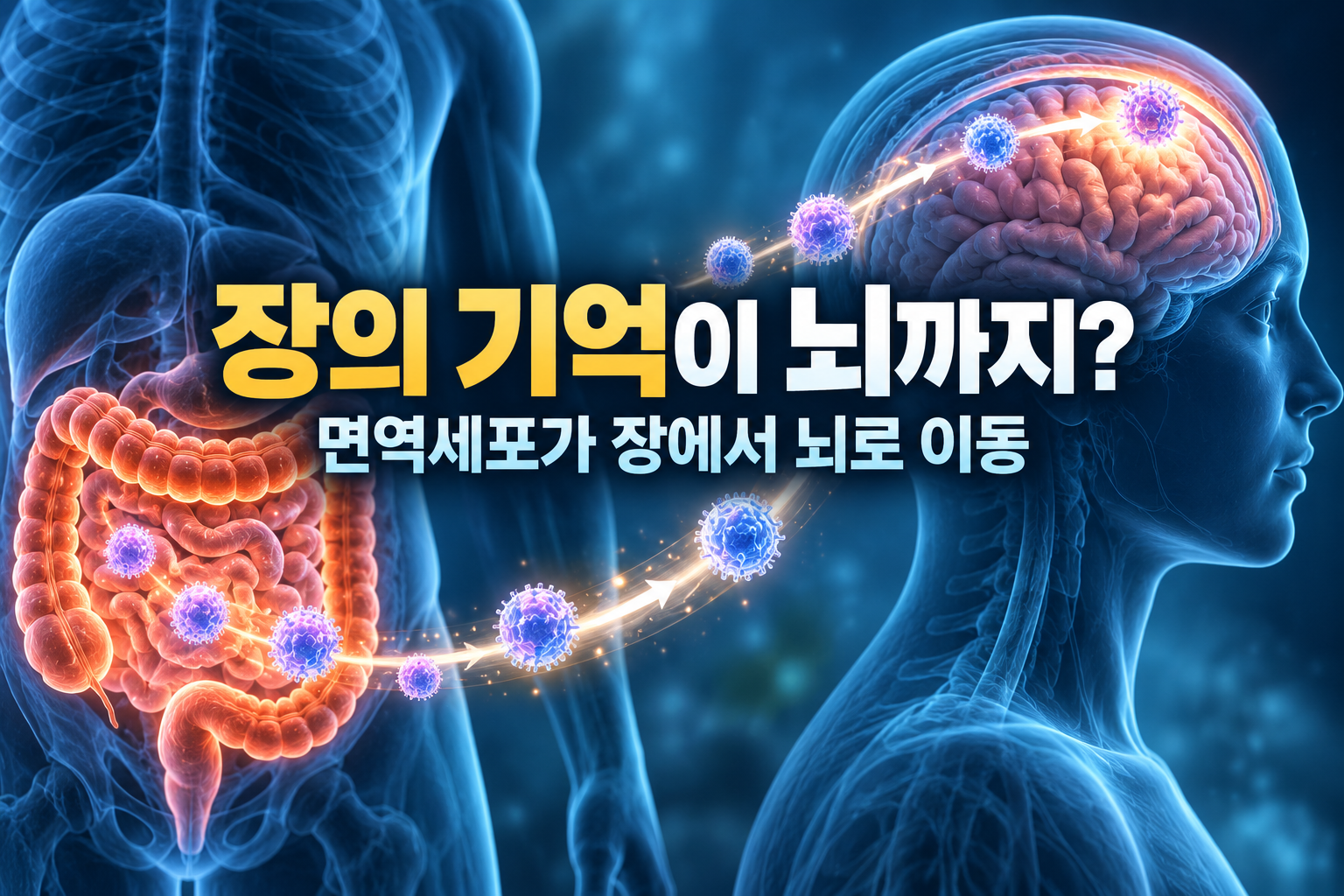 핫이슈 | 장이 아팠던 걸 뇌가 기억한다? 면역세포가 장에서 뇌까지 이동
